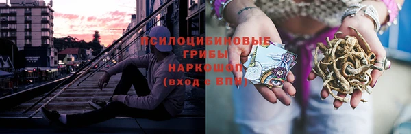 индика Армянск