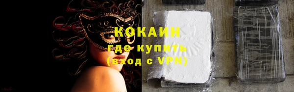 индика Армянск
