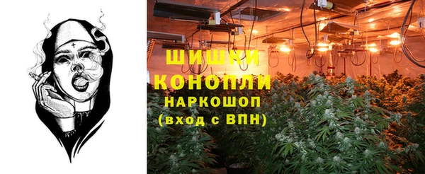 индика Армянск