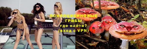 шишки Балахна