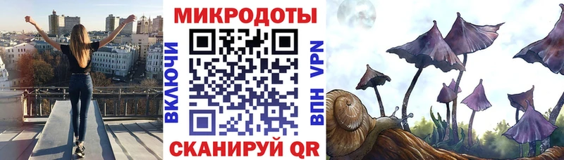 Псилоцибиновые грибы мицелий  магазин продажи наркотиков  кракен ONION  Ельня 